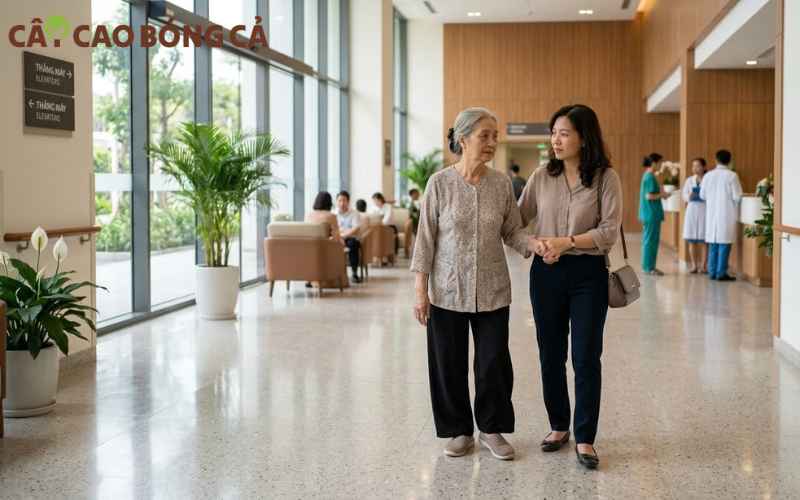 Người cao tuổi nên đi kiểm tra sức khỏe não bộ định kỳ để phân biệt giữa lão hóa bình thường và bệnh lý thần kinh thực sự.