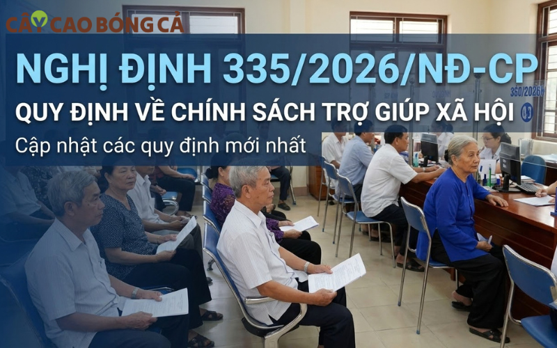 Người cao tuổi cần biết về Nghị định 335/2026/NĐ-CP để cập nhật các mức trợ cấp cho người cao tuổi 2026 mới nhất.
